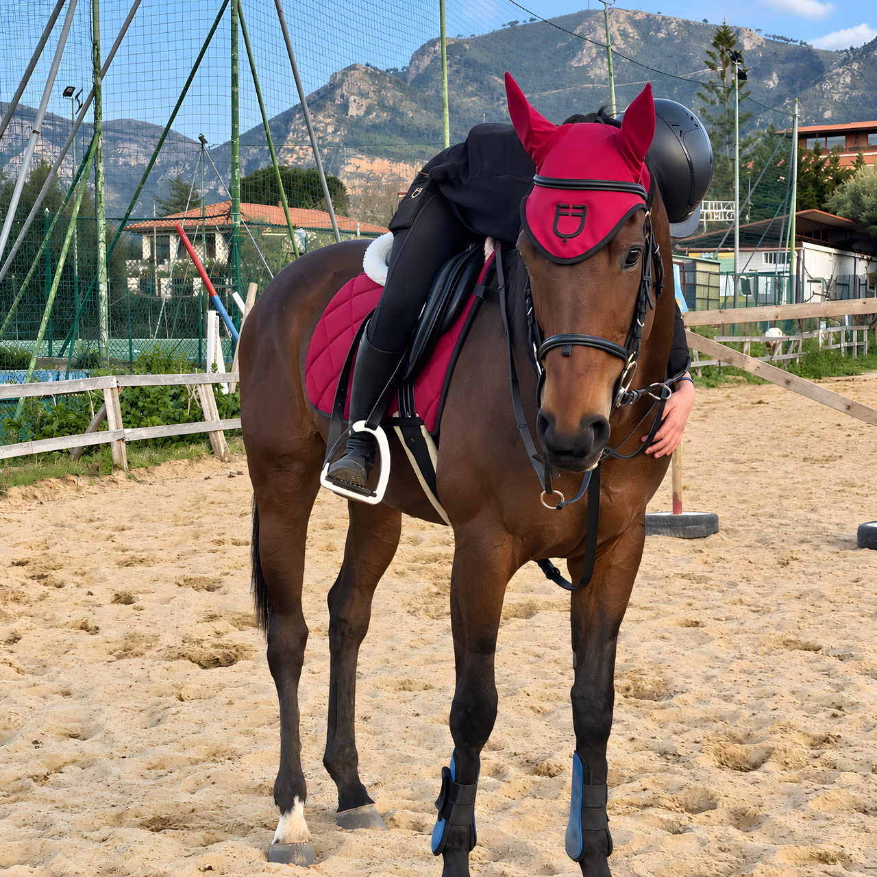 Cavallo, nella fattoria di Equiturismo Cultura