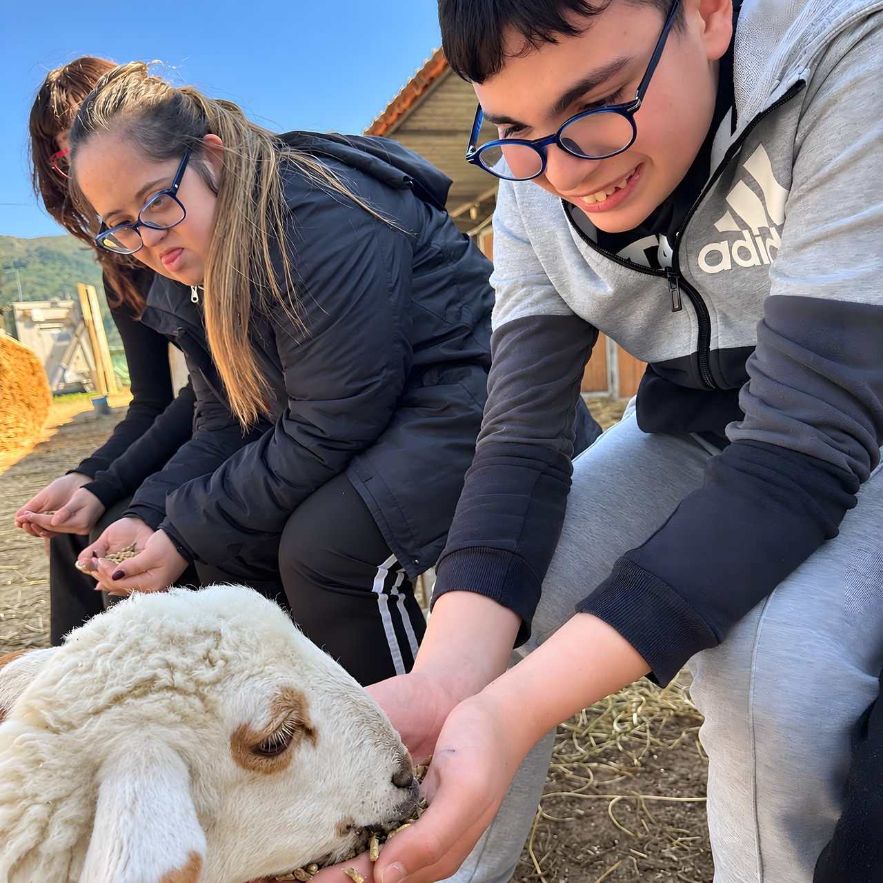 Pecora, nella fattoria di Equiturismo Cultura