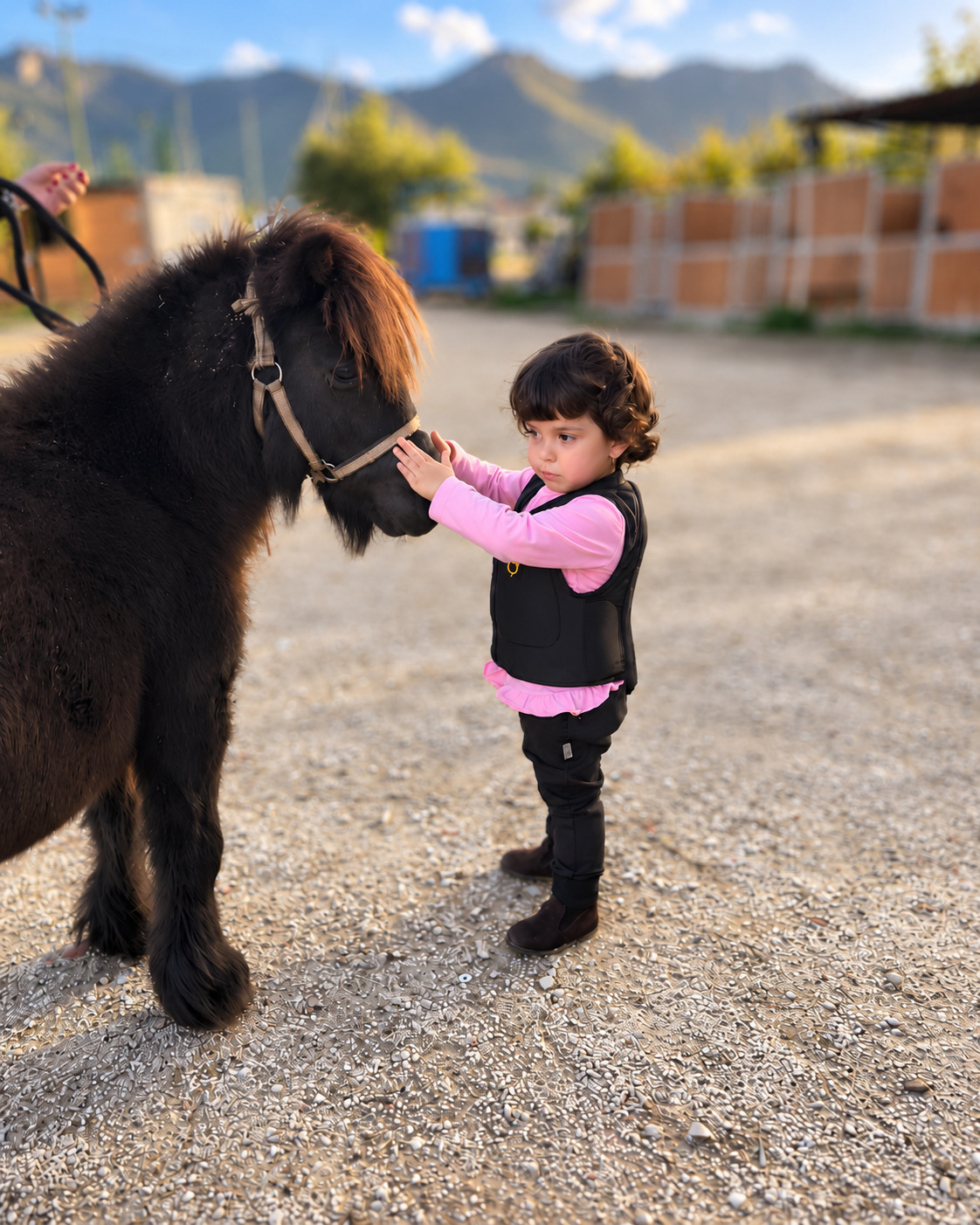 Una bambina tende la mano verso il muso di un pony nero