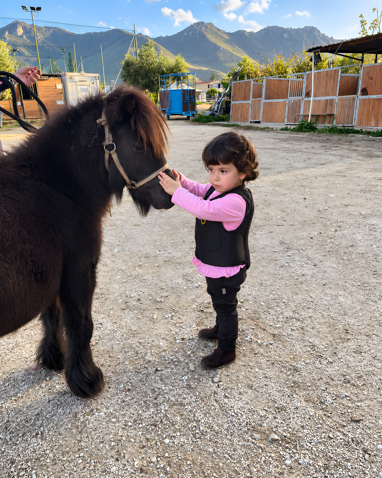 Una bambina tende la mano verso il muso di un pony nero