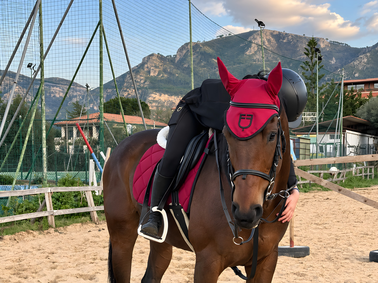 Un cavallo baio fermo nel campo in sabbia, con i monti dietro